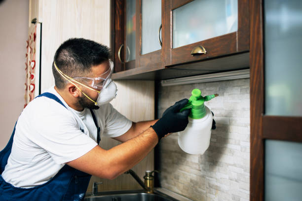 Bird Control in Ridgecrest, CA