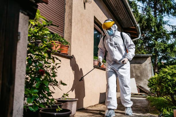Best Mosquito Control Services  in Ridgecrest, CA