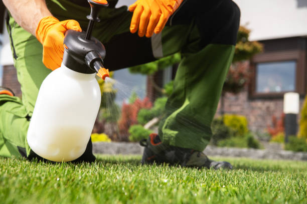 Best Rodent Control Near Me  in Ridgecrest, CA