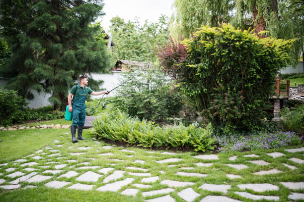 Best Pest Control Cost  in Ridgecrest, CA
