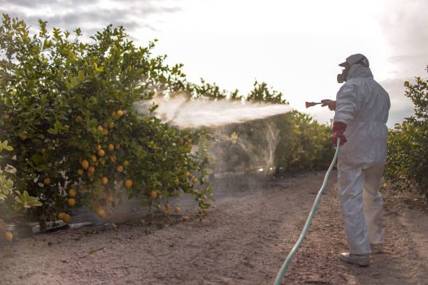 Best Bird Control  in Ridgecrest, CA