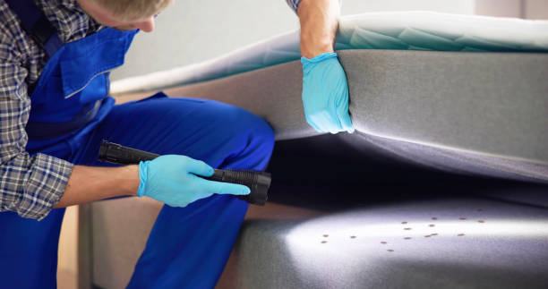 Best Emergency Pest Control  in Ridgecrest, CA