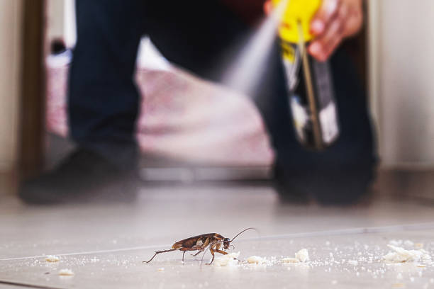 Best Exterminator Services  in Ridgecrest, CA
