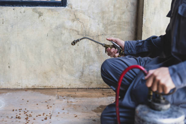 Pest Control Cost in Ridgecrest, CA